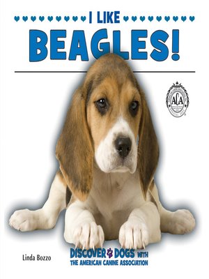 I Like Beagles! - ebook